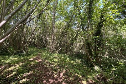undefined, Bramley, Guildford