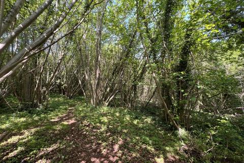 undefined, Bramley, Guildford