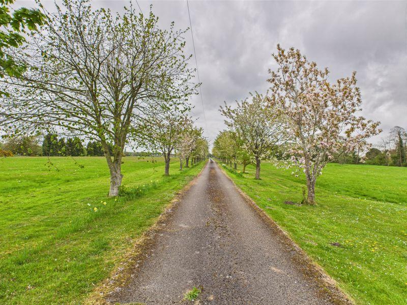 Private Tree Lined