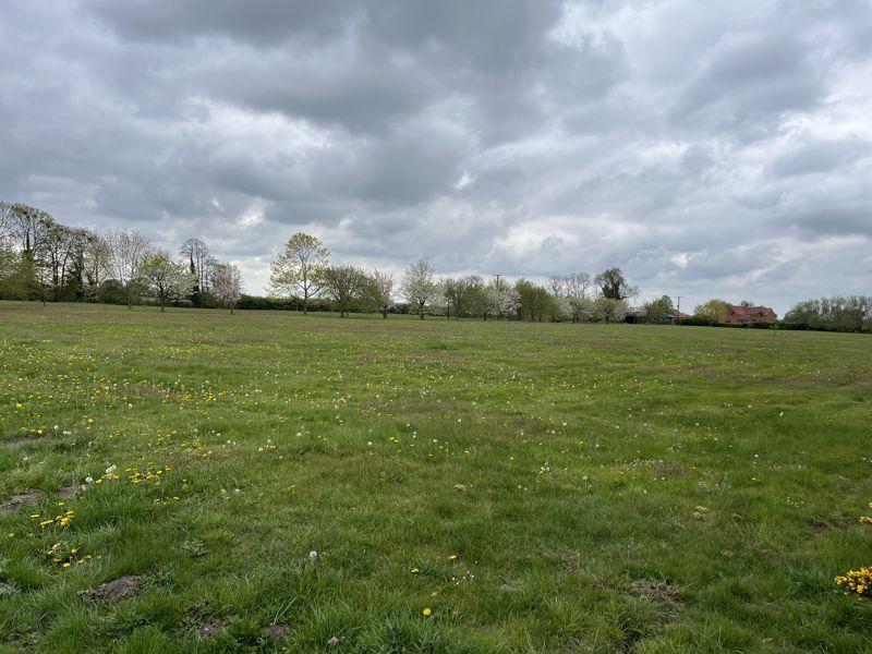 Grounds
