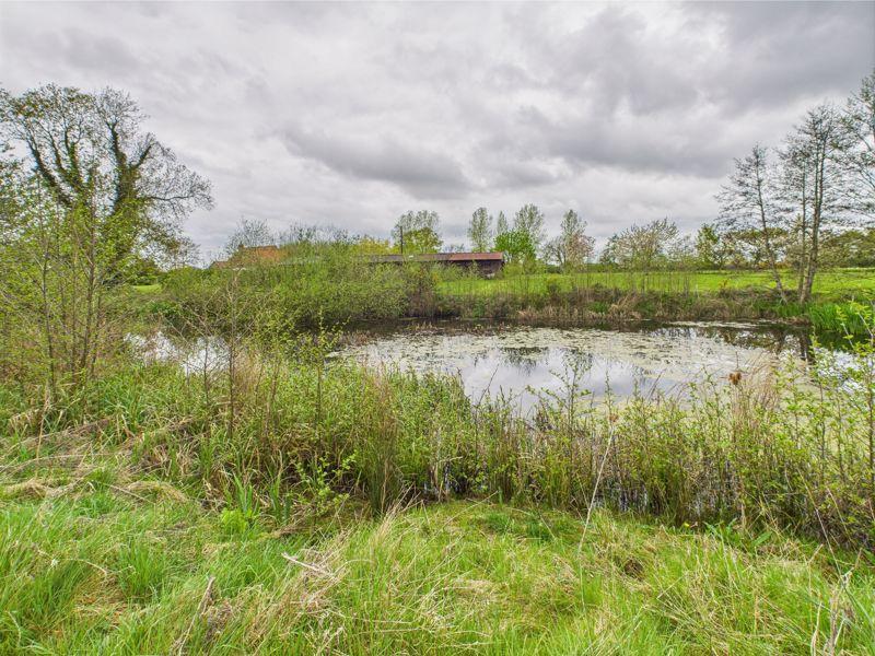 Wildlife Pond