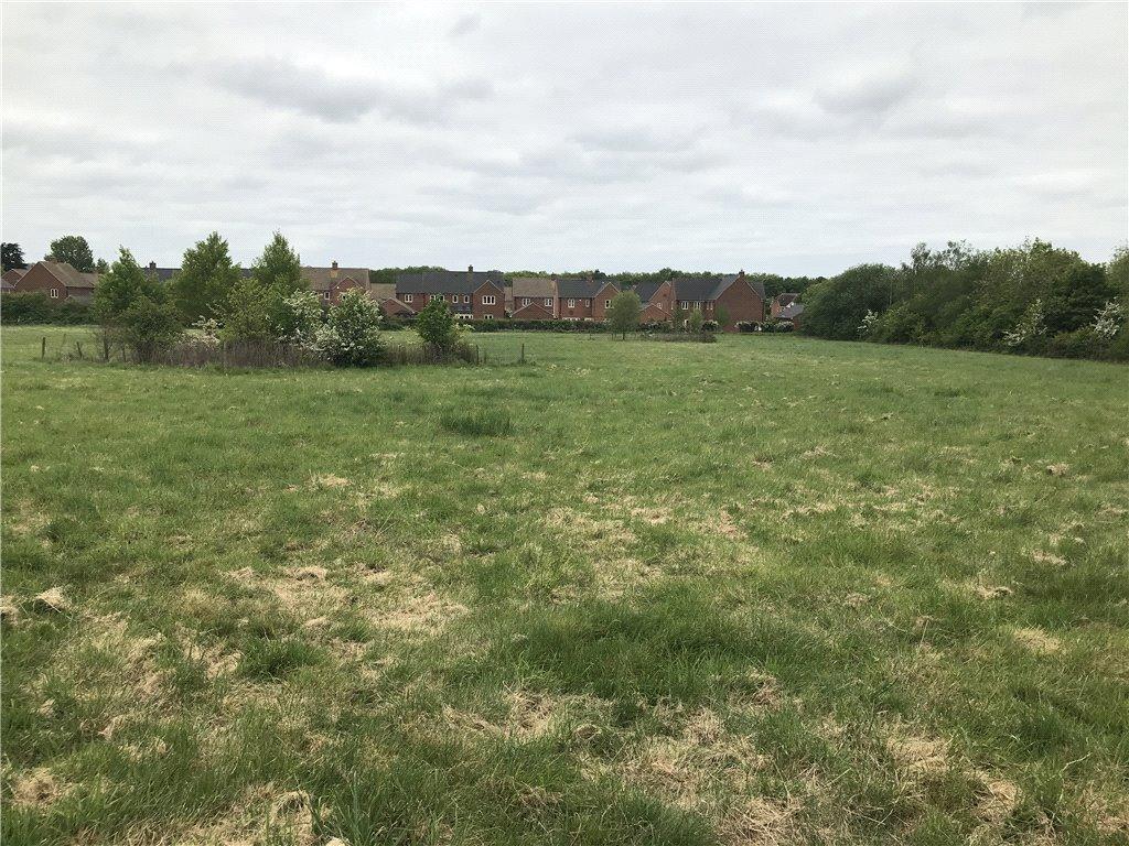 Pasture