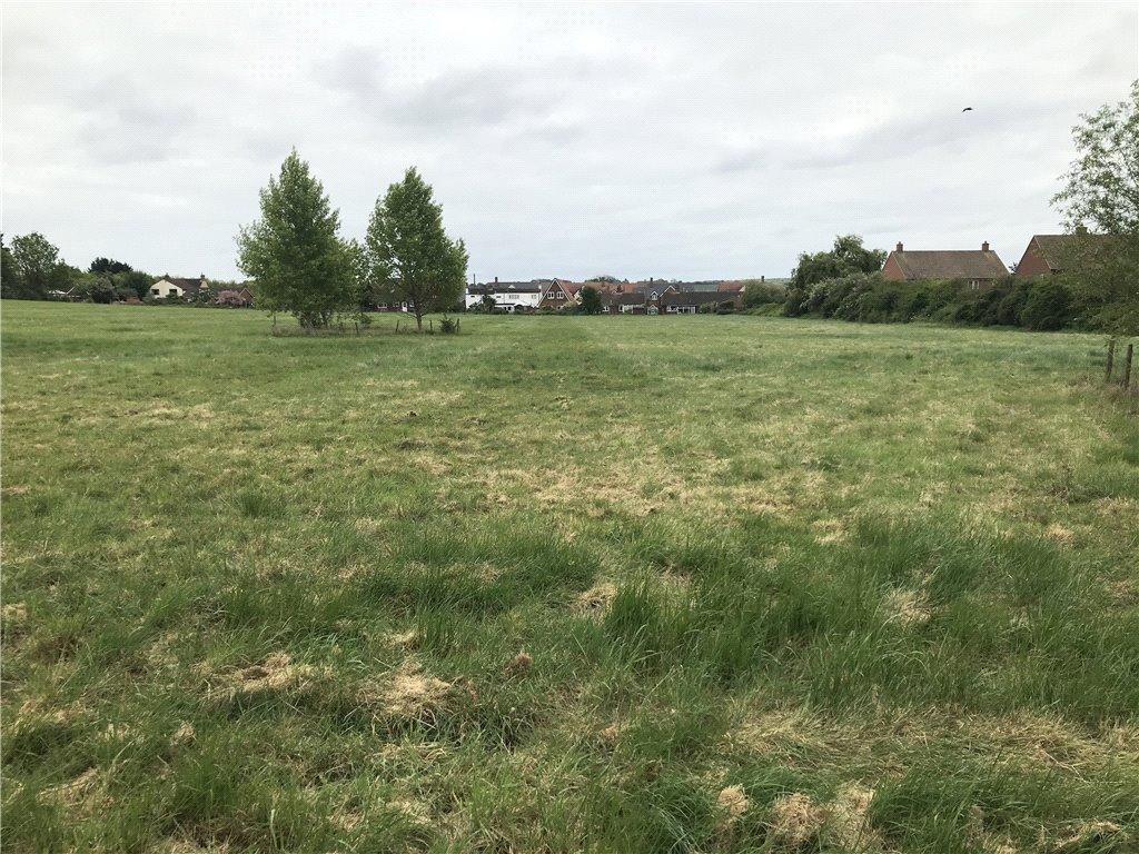 Pasture