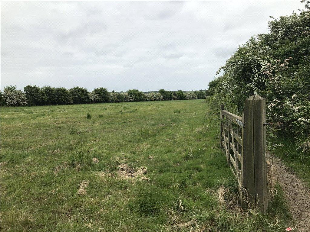 Pasture
