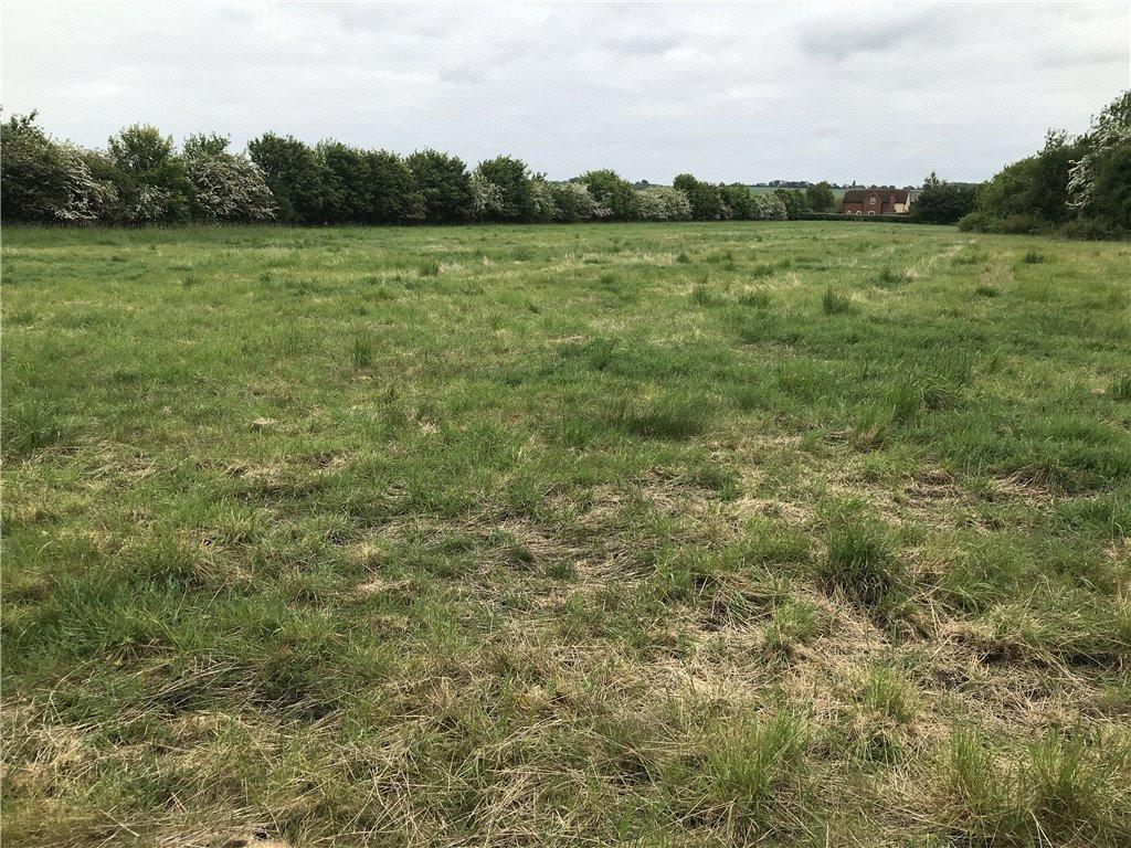 Pasture