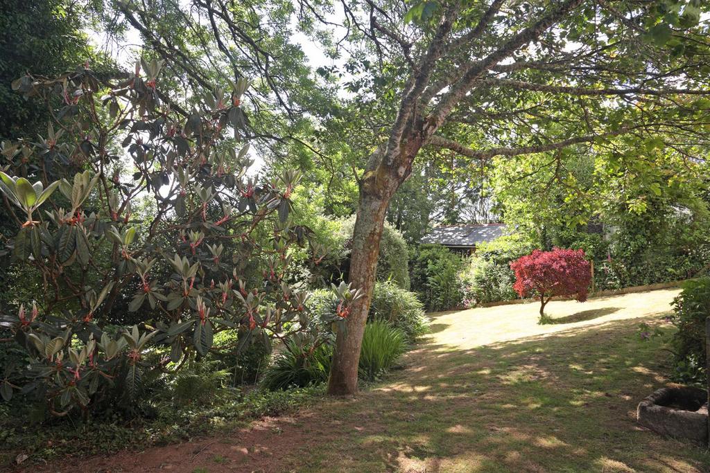 Garden 4.JPG
