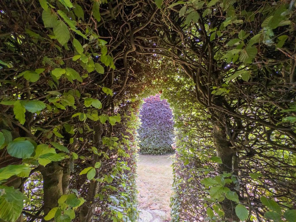 Garden 1.jpg