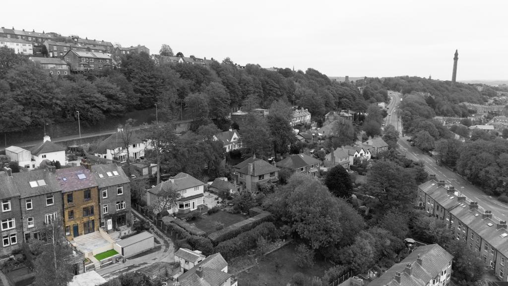 Ariel View