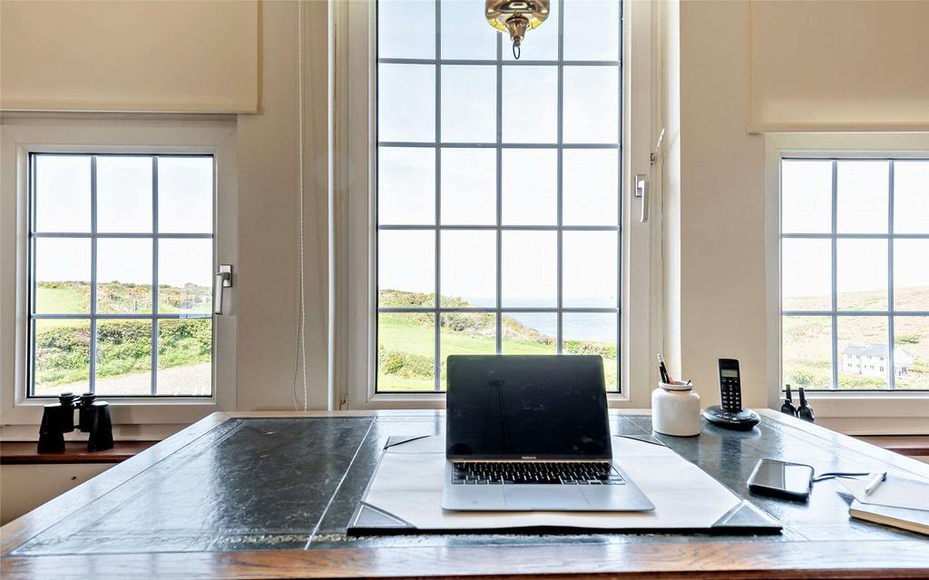 Study Area
