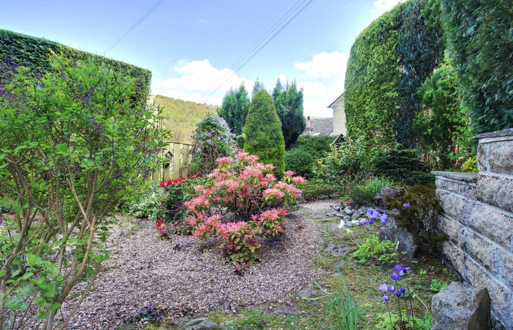 Back Garden