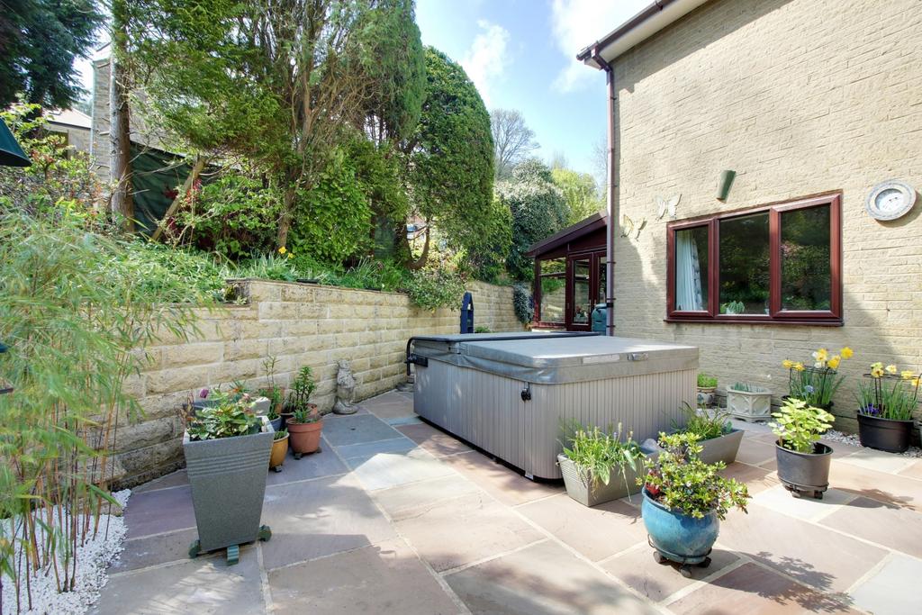 Back Garden