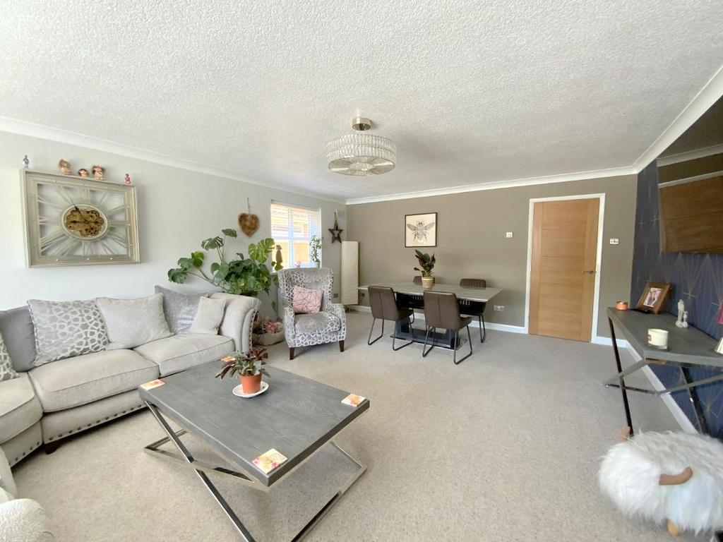 Resized IMG 6499.jpg