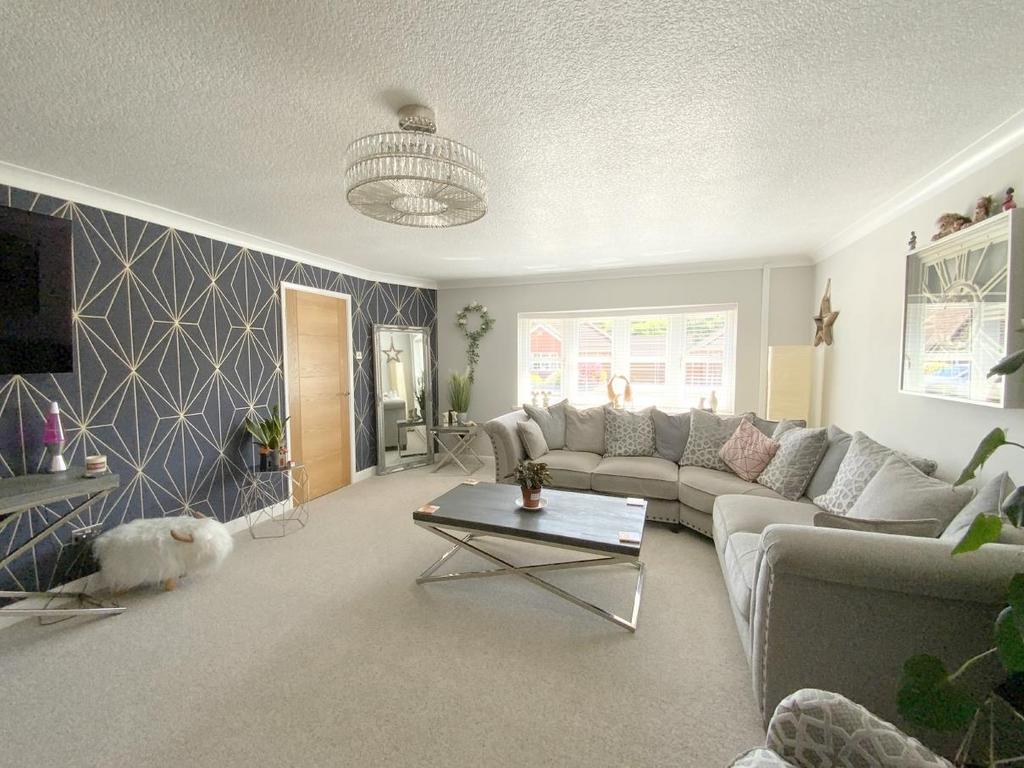 Resized IMG 6503..jpg