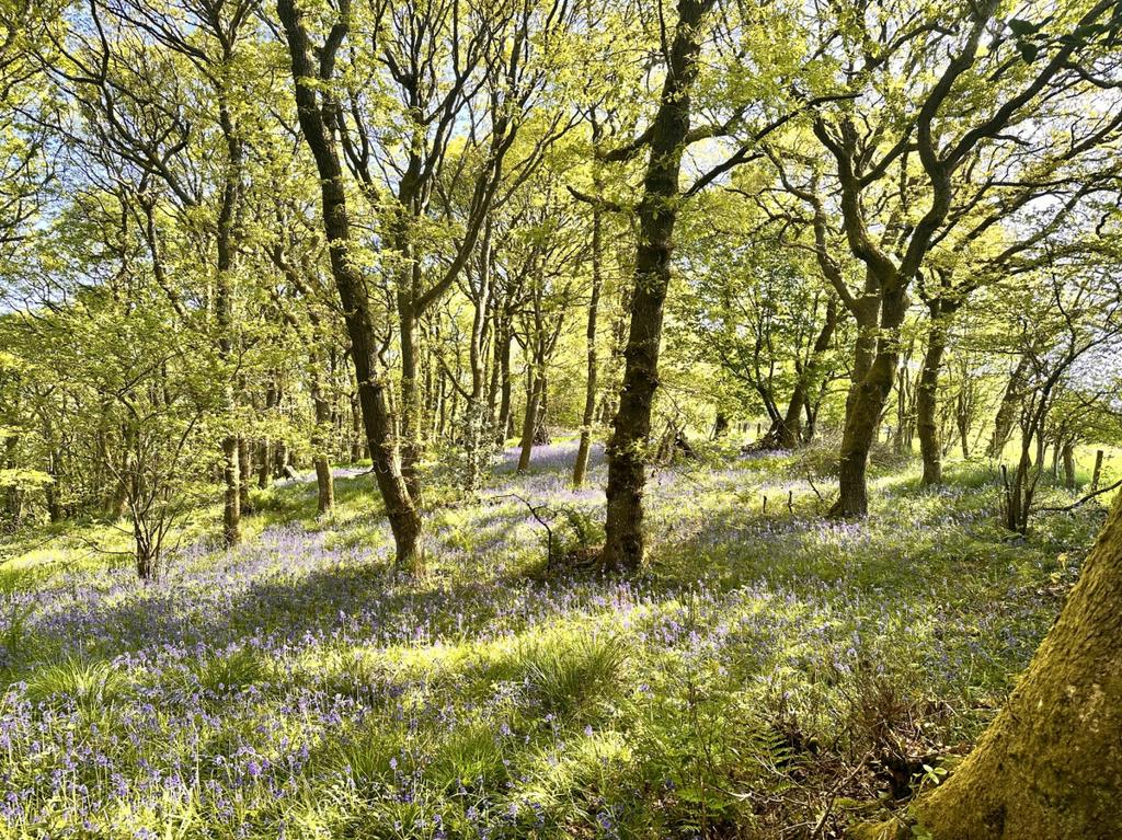 Highly Desirable Stock Farm in the Teme Valley