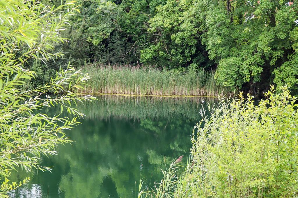 Nature-Reserve