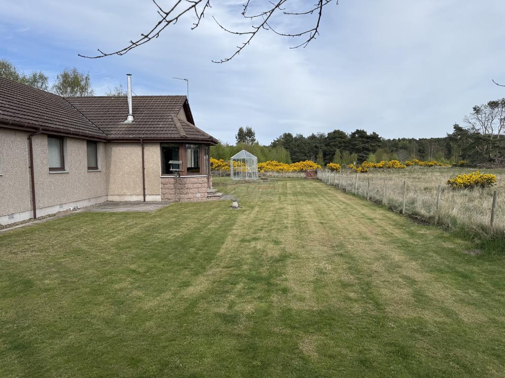 Garden rear.JPG