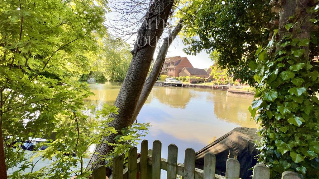 The river view