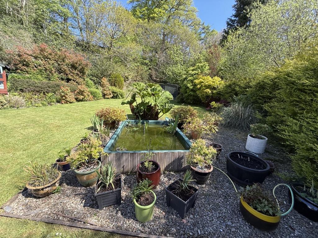 The Grounds