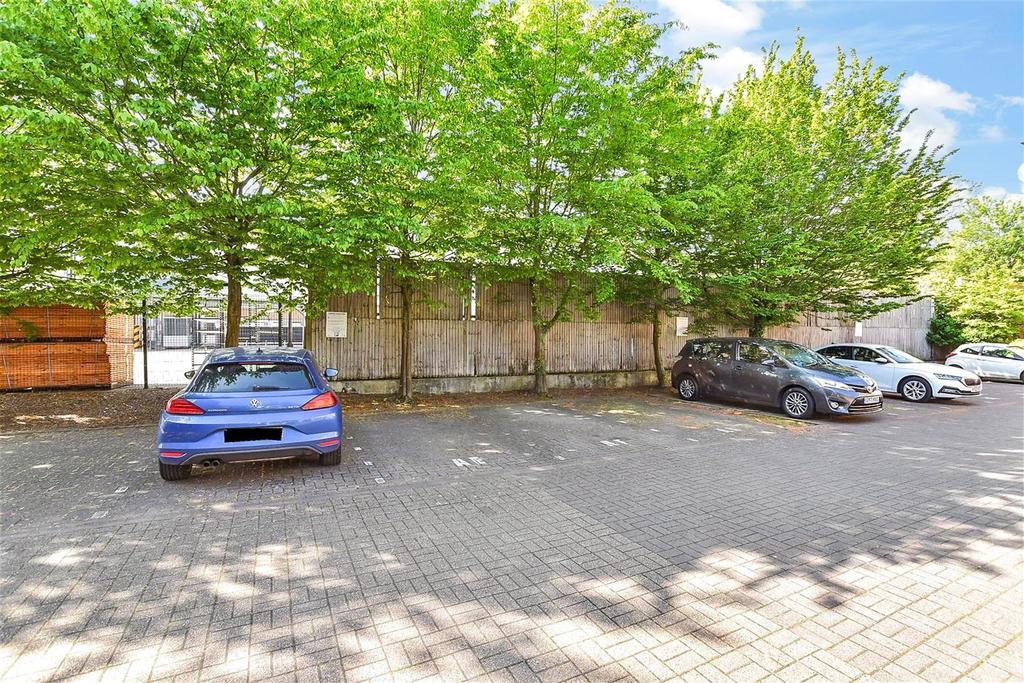Driveway/Parking