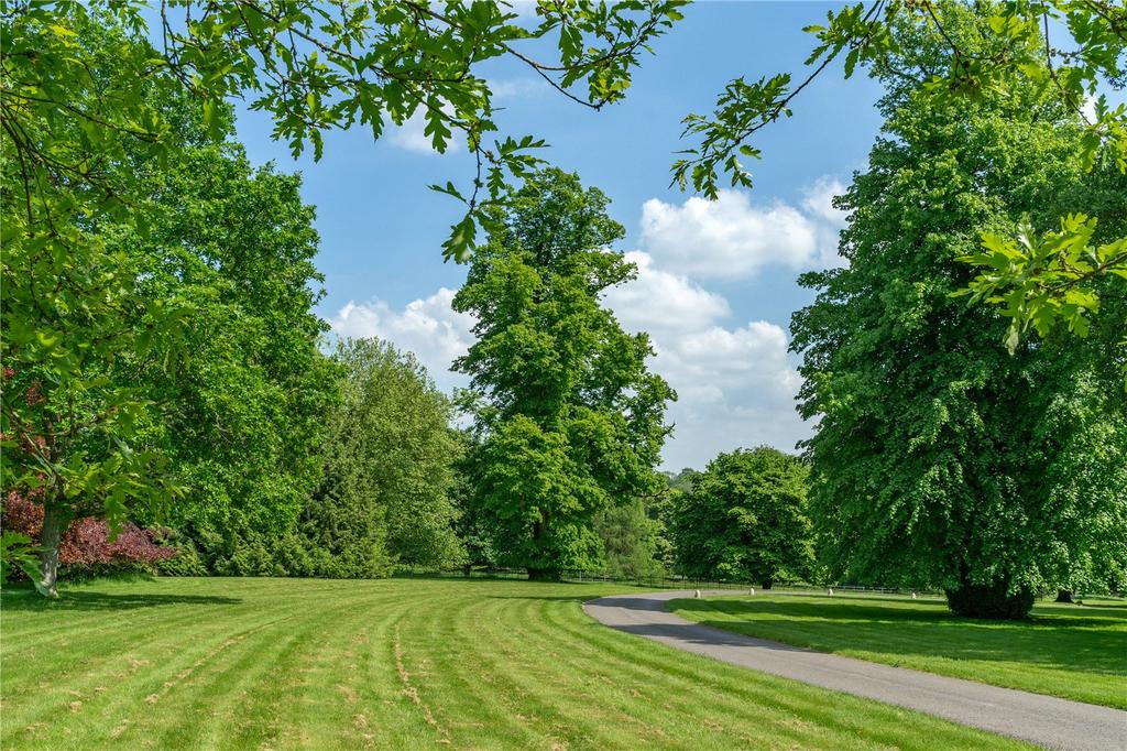 Driveway