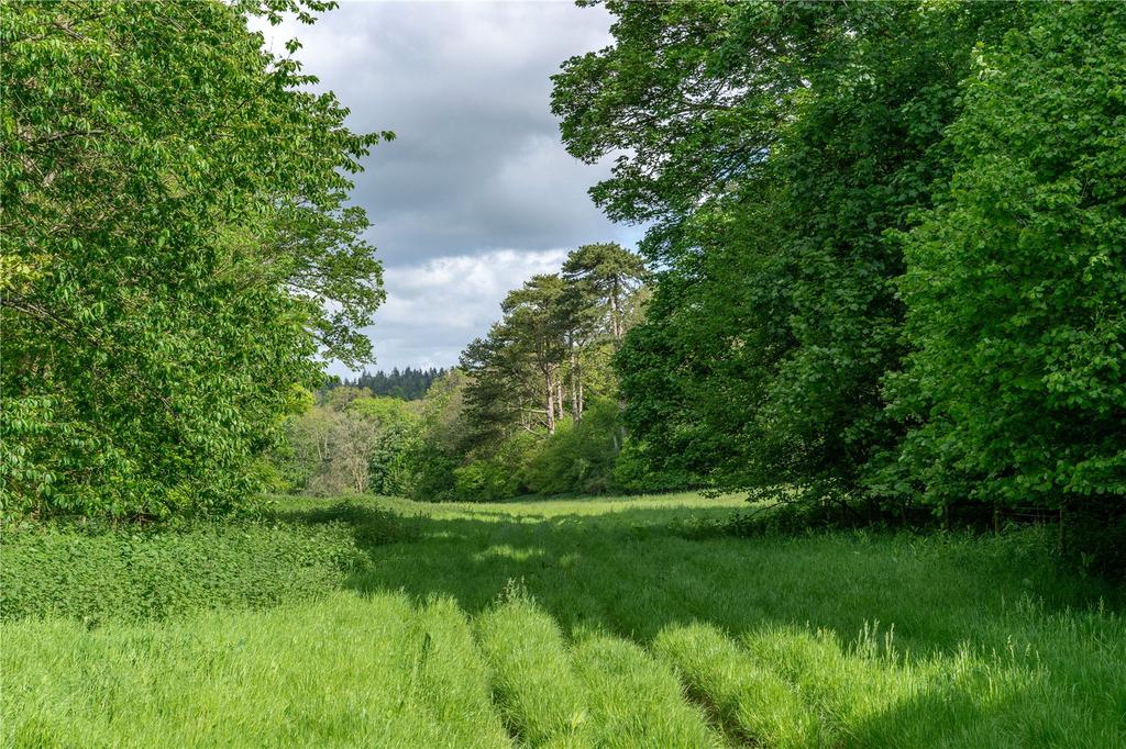 Turrill Hill Land
