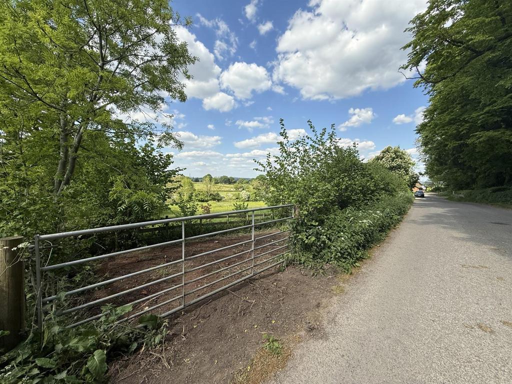 Street View.jpg