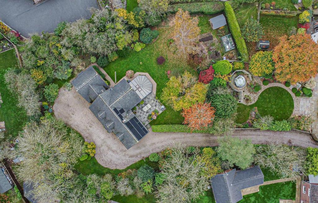 DJI 0864.jpg