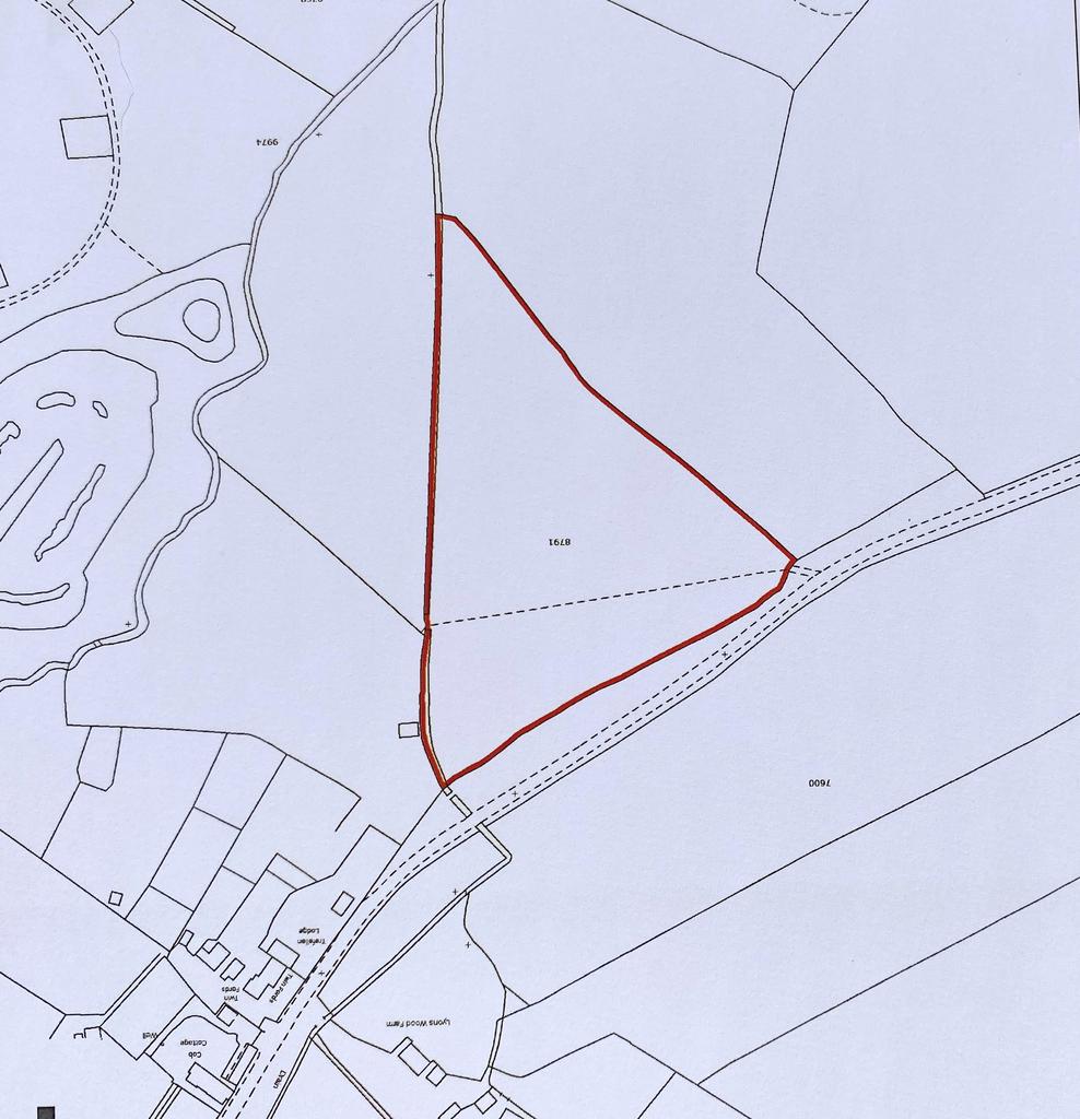 Plot Image