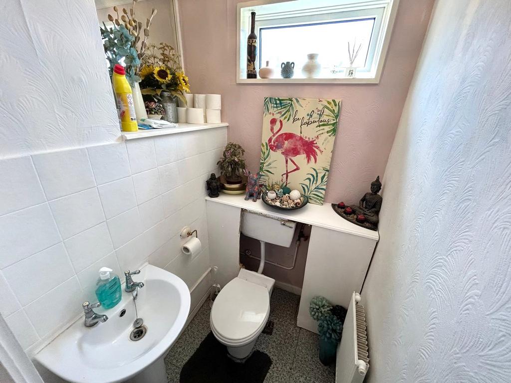 Picture 7