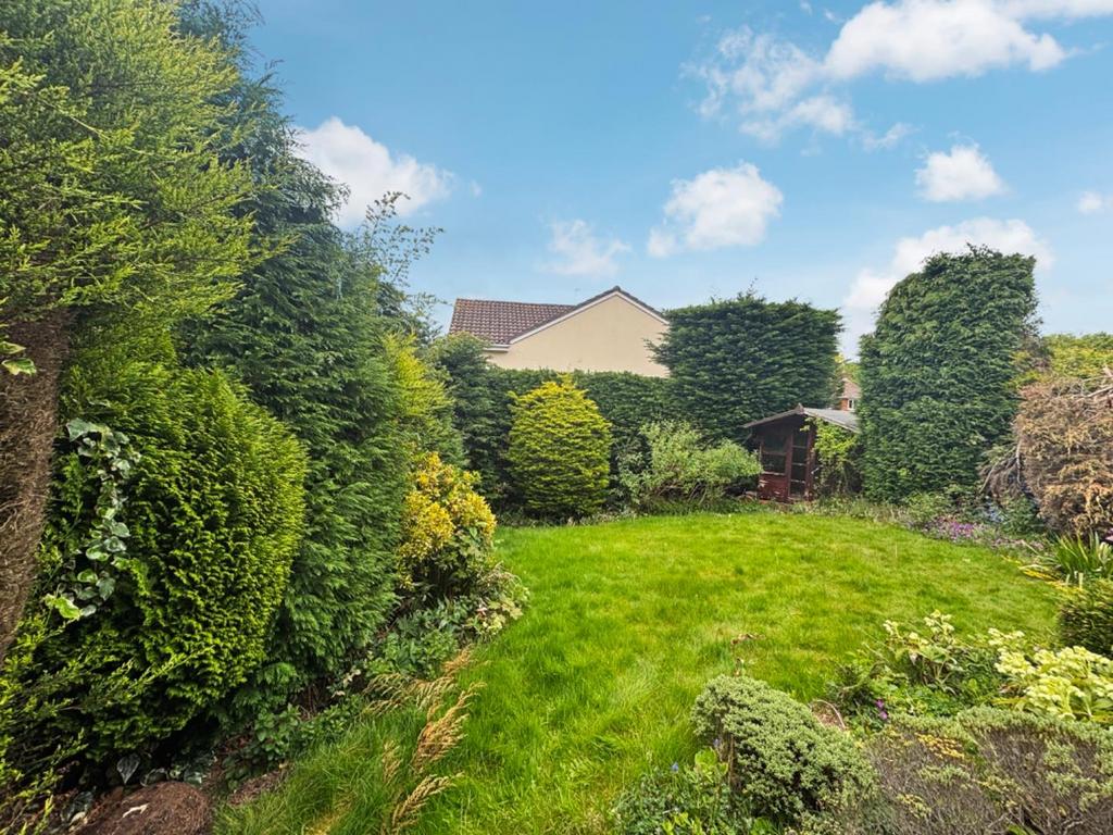 9017900-104519-133911871425060230-c92c2b03-8636-03