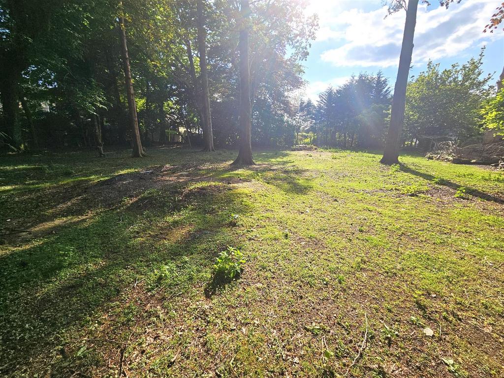 Garden.jpg