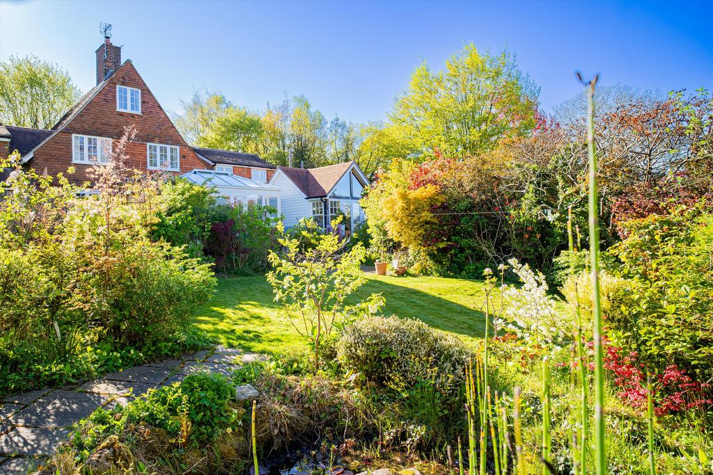 Garden view, garden
