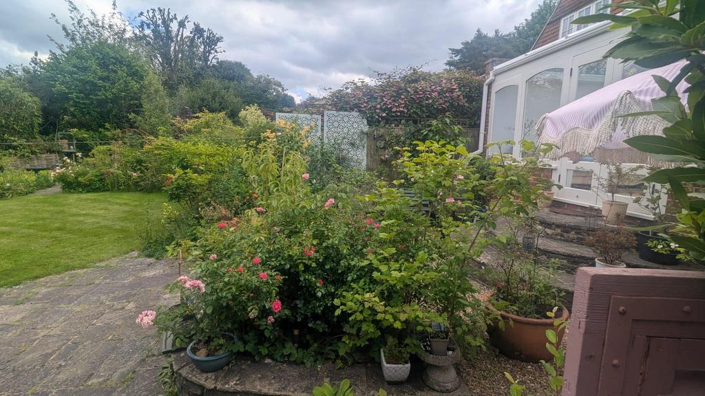 Garden view, garden