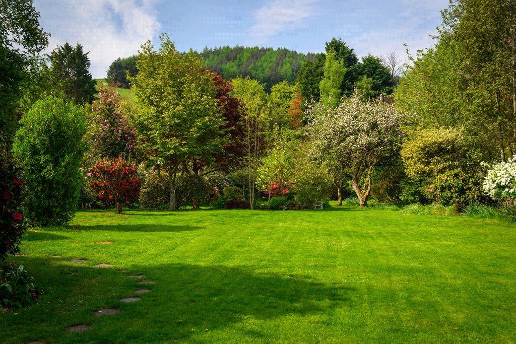 Lawn