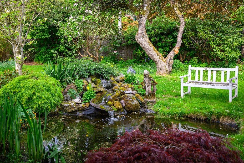 Pond