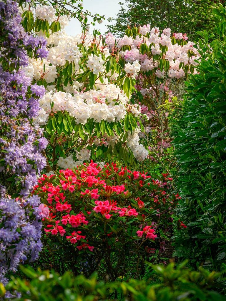 The Garden