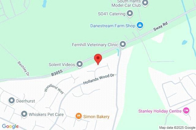 Google Maps Image