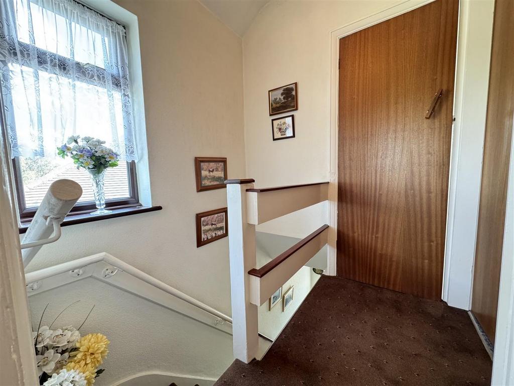 IMG 6249 (Large).JPG