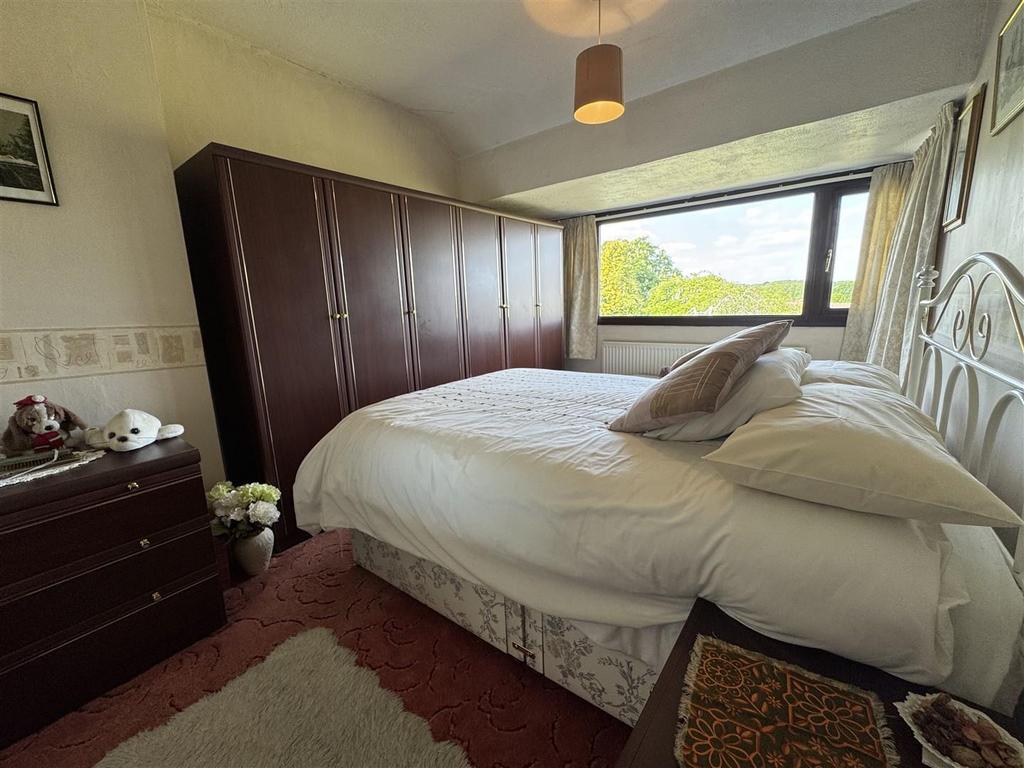 IMG 6158 (Large).JPG