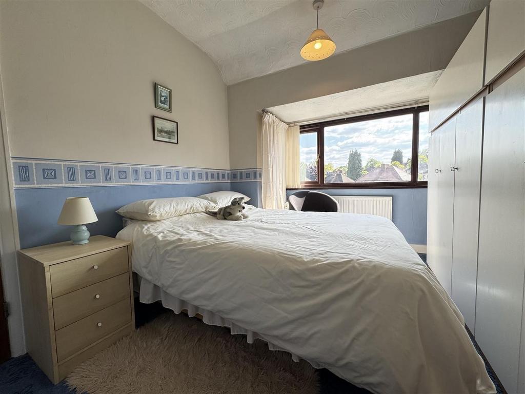 IMG 6168 (Large).JPG