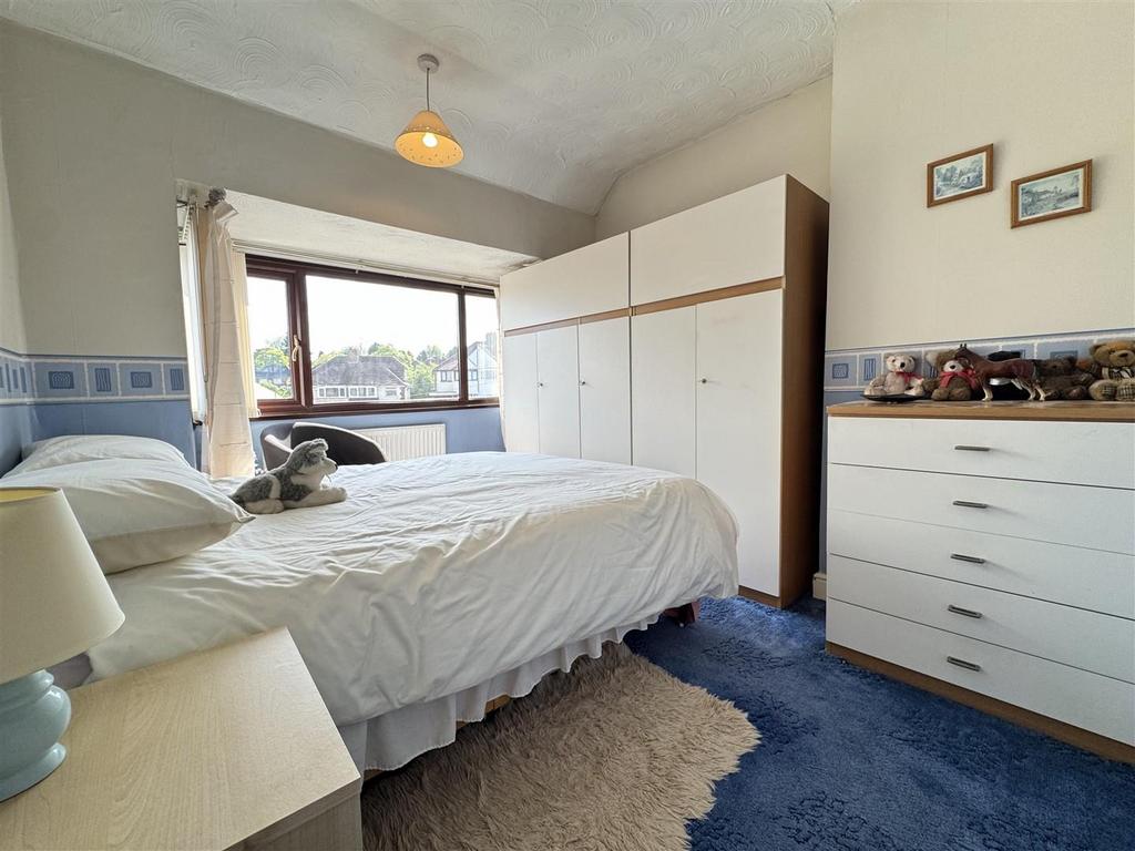 IMG 6188 (Large).JPG