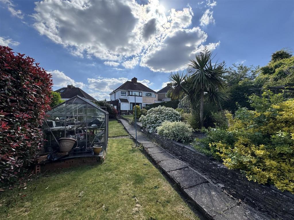 IMG 6423 (Large).JPG