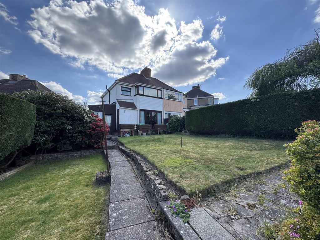 IMG 6426 (Large).JPG