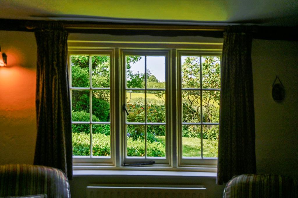 Livving Room View