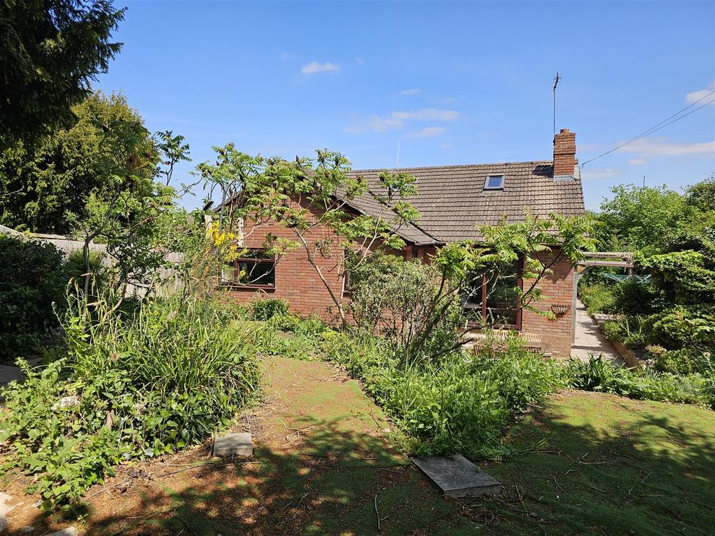 Rear Elevation