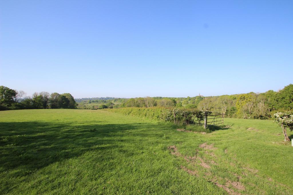 Front field