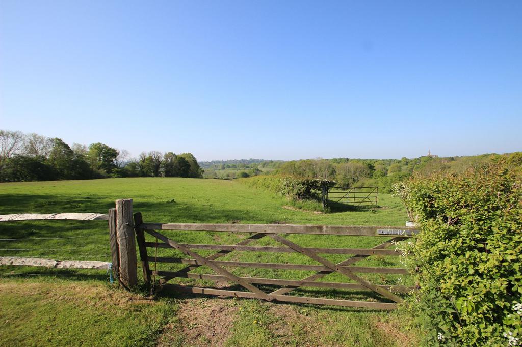 Front field