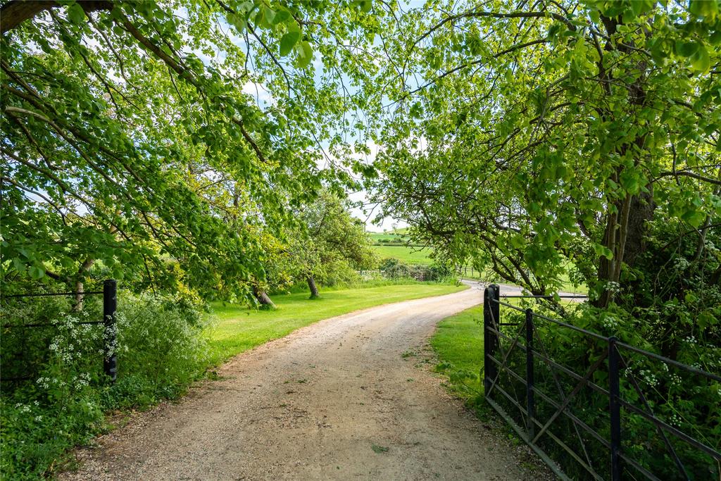 Driveway Approach