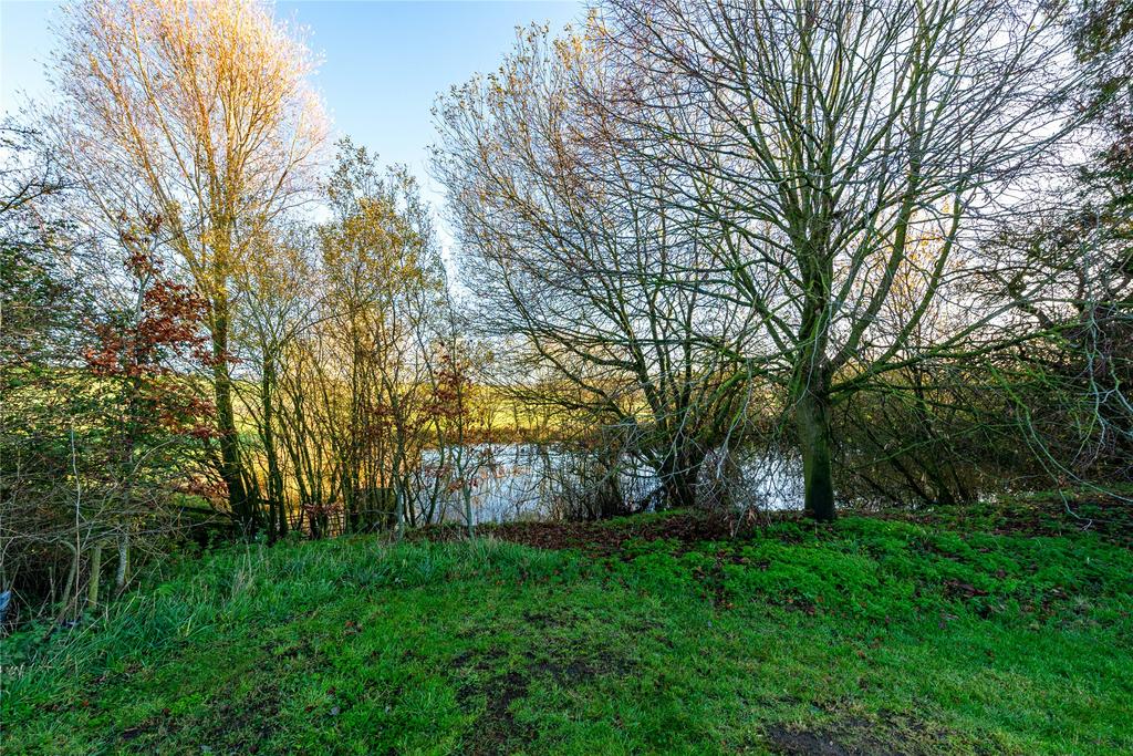 Pond
