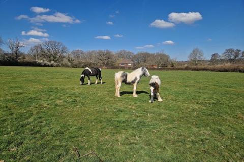 undefined, Kings Lane, Coldwaltham, nr. Pulborough